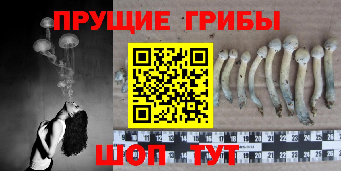 Псилоцибиновые грибы мухоморы  Вход с VPN  Феодосия 